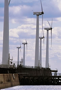 Wind farm on the pier at Blyth